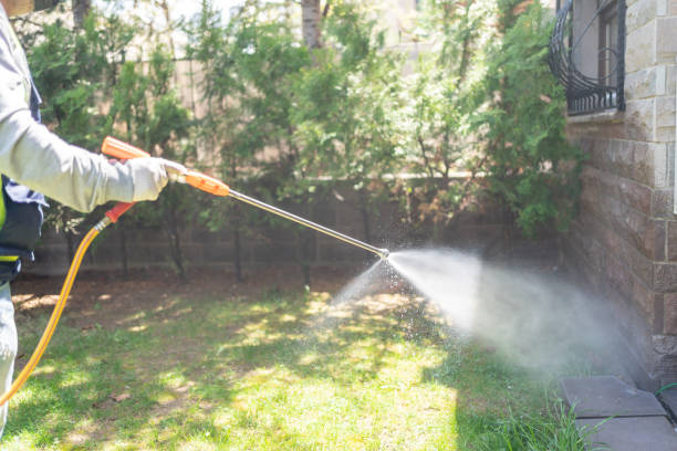 Pest Control for Warehouses in Kittredge, CO